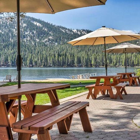 Cozy Studio W/Kitchenette Easily Accessible #113 At Donner Lake Village Truckee Kültér fotó